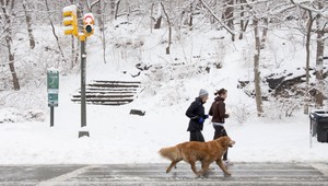 Paľa zastavili policajti. Pre zľadovatelý chodník behal po ceste