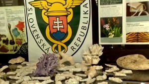 Rady a tipy pre cestovateľov: Tieto suveníry z dovolenky si do kufra radšej nepribalte