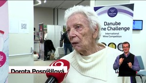 Slovenka vyšľachtila 24 odrôd viniča: Devín, Dunaj, Váh... Čo je najpotrebnejšie?