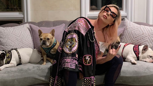 Našli sa! Ukradnutí psíci sú už v rukách šťastnej speváčky, ostáva len vyplatiť nálezkyni POL MILIÓNA!