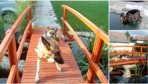 V Dolných Salibách sa stratili vlčiačky Linda a Malá