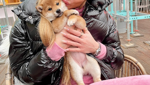 Táto celebritka si servítku pred ústa nedáva: Plačkovú od drogovej kauzy neznášam!