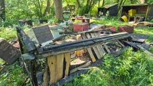 Šok pre včelára: Medveď mu zničil takmer 50 úľov