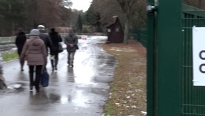 Výsledky plošného antigénového testovania môžu byť podľa analytika skreslené