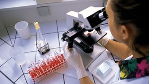 Pri umelom oplodnení mali zameniť embryá