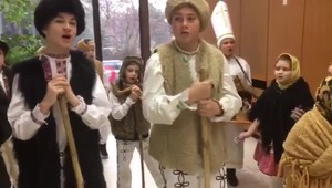 Vláda pred Vianocami rozdáva. Chce zvýšiť platy a dopraje aj slonom v Bojniciach