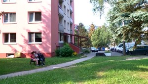 Vlčiak zaútočil na niekoľko ľudí. Polícia ho musela zastreliť rovno na sídlisku