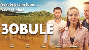 Do kín prichádza už tretie pokračovanie Bobúľ: Na čo sa môžeme tešiť?