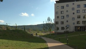 Na bratislavskom sídlisku v noci počuť streľbu. Medzi panelákmi ľudia nachádzajú mŕtvu divú zver