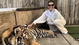 Tehotná Jasmina vošla do klietky k tigrovi! Šokuje vás to? Má pre vás TENTO odkaz