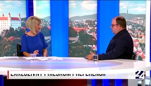 Volebná encyklopédia Slovenska: Politický kanibalizmus medzi PS a SaS, ale aj Republikou a SNS