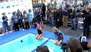 48 hodín v bazéne. Diane Nyad chce pomôcť obetiam hurikánu Sandy