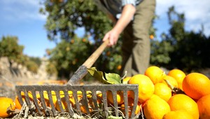 Ficove opatrenia. Dohodári zarobia menej