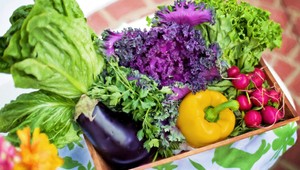 Američan, ktorý umiera na rakovinu, vyhral súd nad výrobcom postrekov