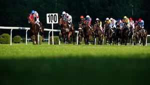 Ošetrovateľ koní zomrel na dostihoch po kopanci do hlavy