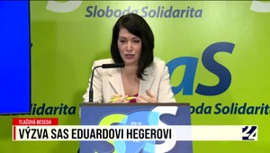 Má uzavrieť kontrakty so súkromnými nemocnicami. Jana Bittó Cigániková poslala výzvu Hegerovi