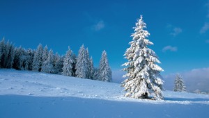 Sneh na Vianoce nečakajte, odkazuje meteorologička