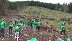 Dobrovoľníci vysadili v Tatrách už milión stromov. Pri ich práci prekonali aj rekord