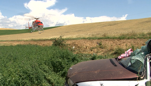 Mimoriadne vážna autonehoda: Pri silnom náraze vyvrátilo strom aj s koreňmi