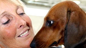 Muž sa chcel zbaviť psa, tak ho vyhodil z mosta