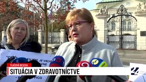 Tlačová beseda zdravotných sestier o situácii v zdravotníctve