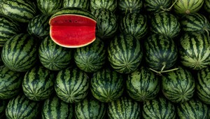 Kupujete melón? Týchto 5 trikov vám pomôže vybrať ten najsladší