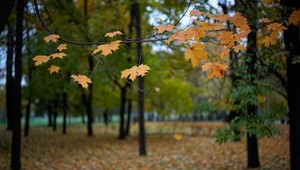 Aké počasie zažijeme na Dušičky? Odborník varuje pred ochladením