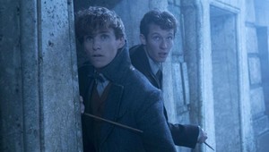 Kto je Callum Turner? Posvietili sme si na staršieho brata z rodiny Scamanderovcov!