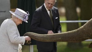 Kráľovské maniere musia ísť bokom, keď ide o TOTO