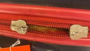 Nález živej mačky v kufri na letisku šokoval zamestnancov aj majiteľa. O zvierati nevedel