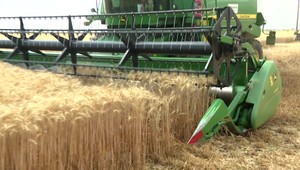 Potravinári budú musieť opäť zvýšiť ceny svojich produktov. Dražie všetko, čo súvisí s produkciou