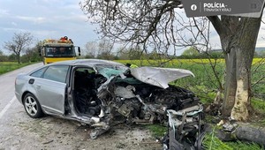 Pri nehode asistoval alkohol: Zraneniam podľahla 19-ročná žena