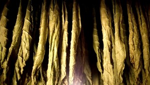 Colníci zaistili kontraband. 23 ton lisovaného tabaku!