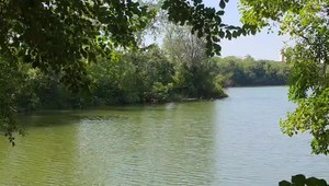 Desivý nález pri bratislavskom jazere: Návštevníci našli plávajúce ľudské telo len kúsok od brehu