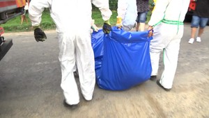 Prípady moru ošípaných pokračujú: V dedinách Somotor a Rad veterinári zlikvidovali všetky chovy