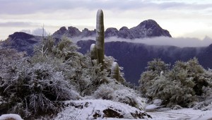 Arizonskú púšť zasypal sneh