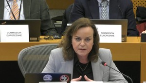 Petková na výbore ku kauze haciend: „Sme tu preto, lebo sme vlastenci“