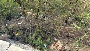 Otrasné! Pytliaci vyhodili na Soroške lesnú zver do priekopy