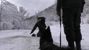 Hraničná polícia hľadá posily. Čo zahŕňa práca na východnej hranici?