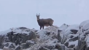 Tatrami sa prehnala víchrica. A priniesla perinu, ktorou budú prikryté zrejme až do jari