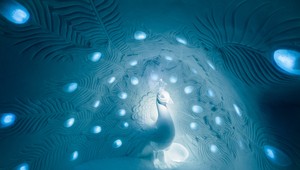 Ľadový hotel otvára svoje brány. Na toto sa odhodlá málokto