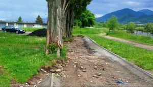 Robotníci začali stavať chodník. Zrazu uvideli stromy