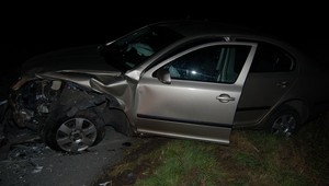 Do cesty mu vbehol jeleň, pribrzdil a zabil Alenu (†44)