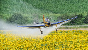 Europoslancov trápi prílišné používanie pesticídov. Pripravujú zmeny