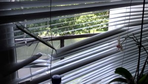 Ťahal ju za vlasy a zbil do krvi. Žiarlivého muža v byte už čakali policajti