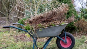 Pomôže vám masáž, ak vás bolí chrbtica? Pri akútnych ťažkostach radšej počkajte