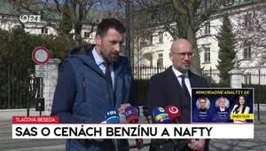 Tlačová beseda SaS o cenách benzínu a nafty