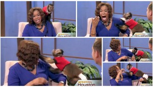 Čaro živého vysielania. Moderátorka dostala K.O. od opice