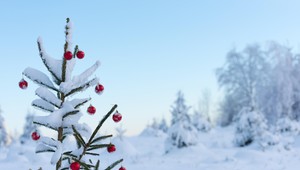 Darčeky na jednom mieste. V Inchebe sa začali Dni Vianoc