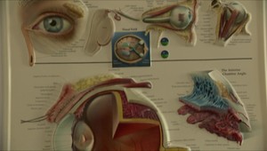 7 dôvodov podráždenia oka: Ako si vtedy pomôcť?